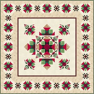 Raspberry Roundabout Quilt Along