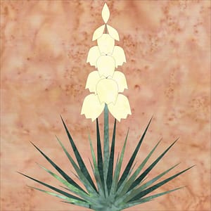 Yucca