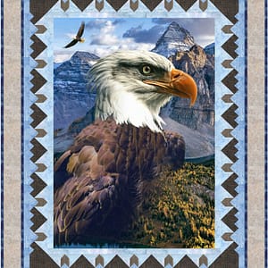 Circling Hawks