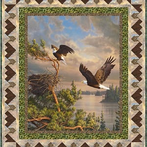 Circling Eagles