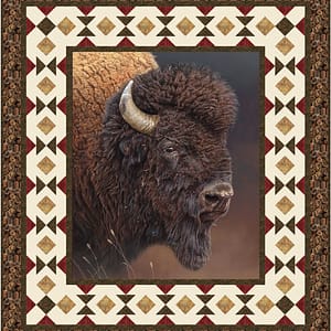 Bison Borders