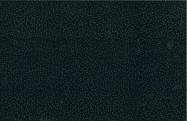 Hoffman 885-494 Raven