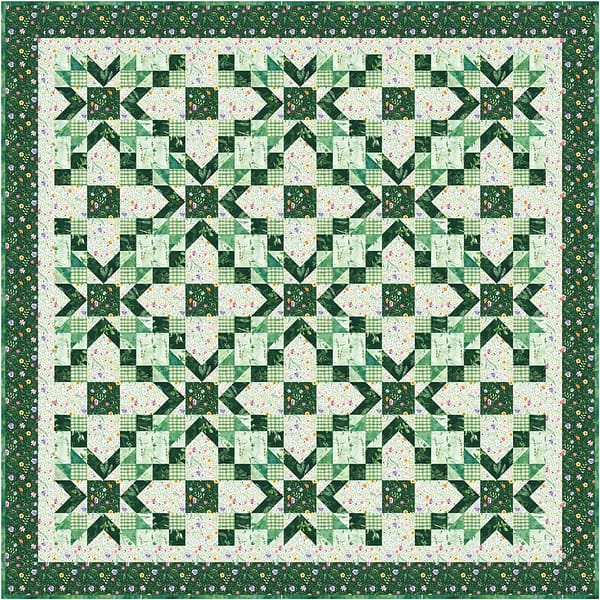 Lattice Love