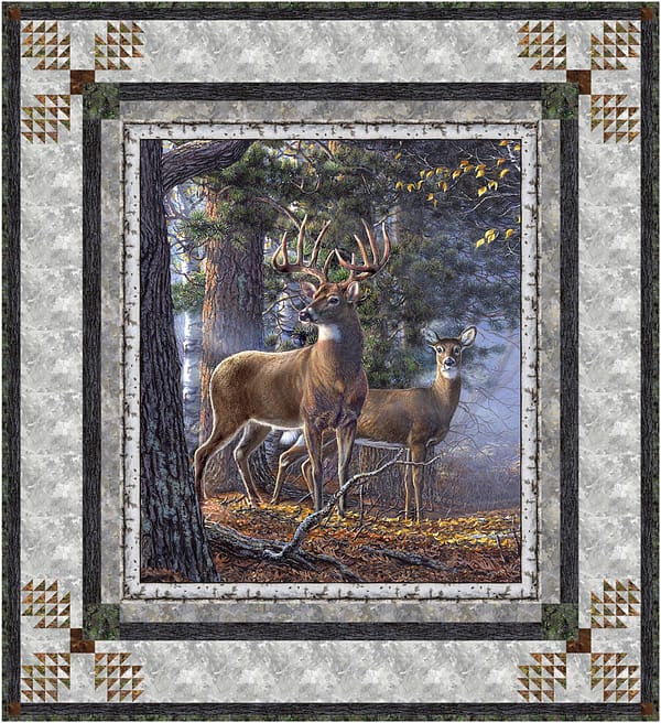 Forest Frame