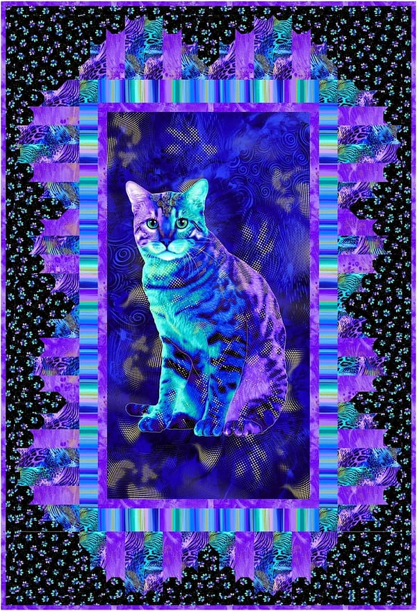 Framed by a Cat