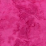 tn_1895-97-Raspberry