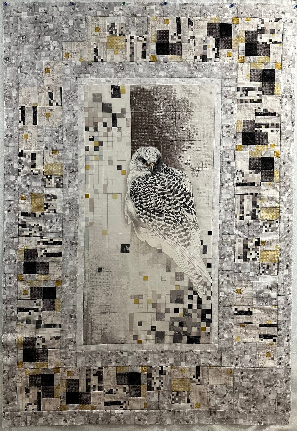 Fractured Falcon